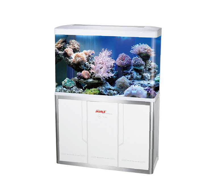 NEW FASHION AQUARIUM