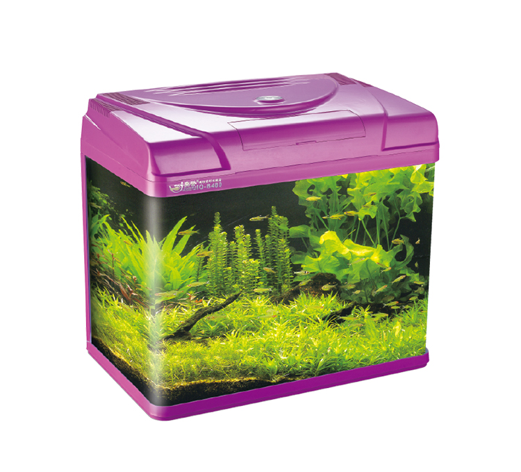 FASHION MODEL AQUARIUM TANK